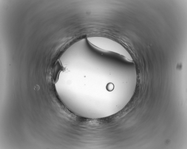 X0000093570423200710291044