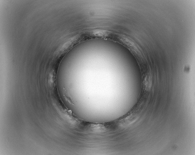 X0000093570424200710291044