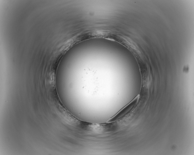 X0000093570425200710291044