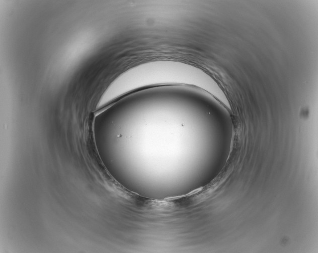 X0000093570429200710291044
