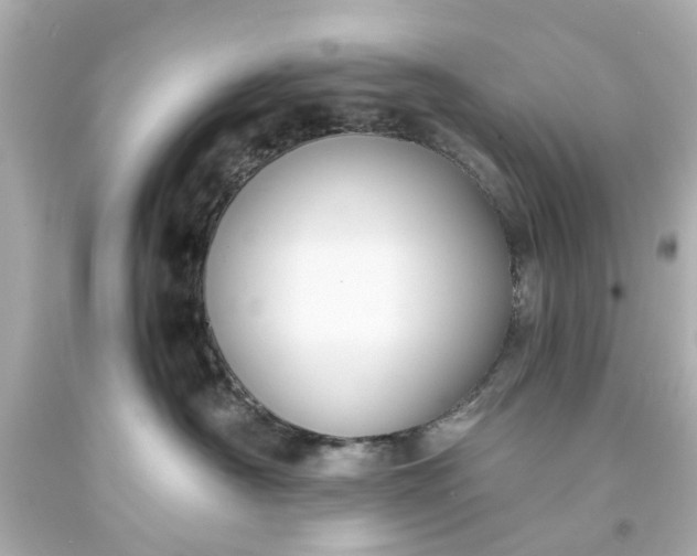 X0000093570430200710291044