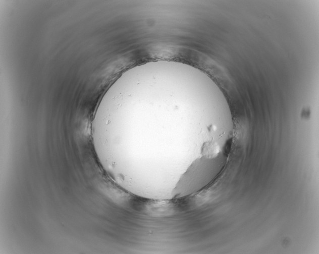 X0000093570431200710291044