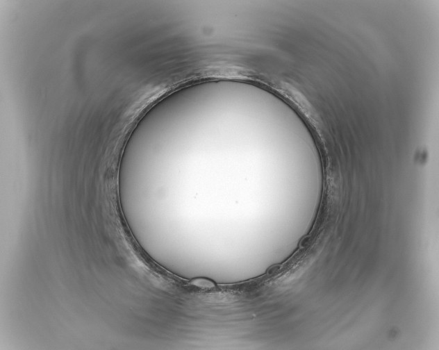 X0000093570433200710291043