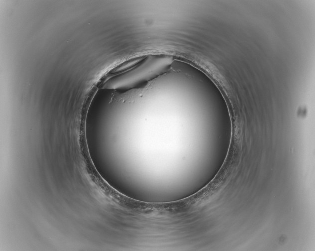 X0000093570434200710291043