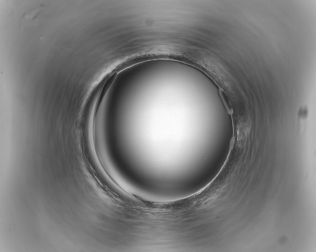 X0000093570436200710291043