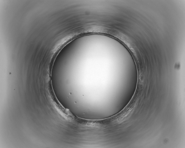 X0000093570437200710291043