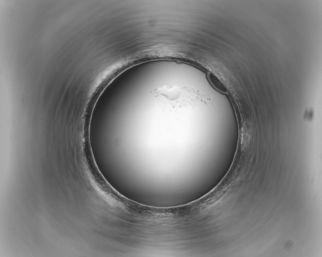 X0000093570438200710291043