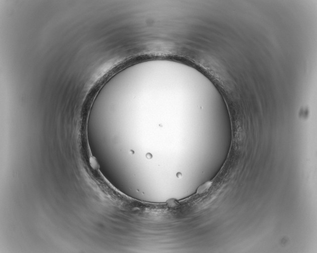 X0000093570440200710291043
