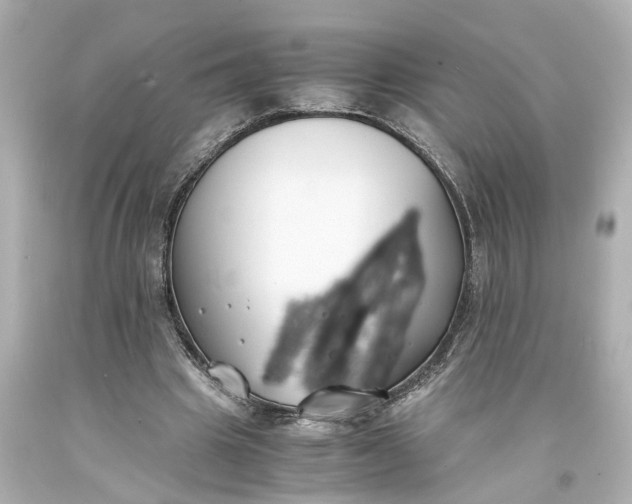 X0000093570441200710291043