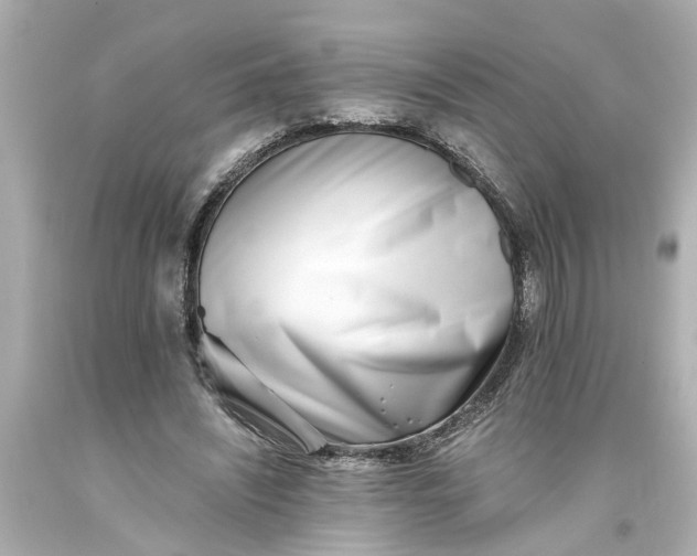 X0000093570444200710291043
