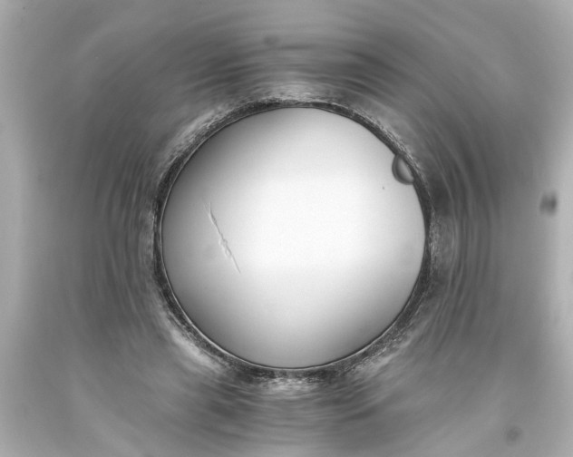 X0000093570445200710291043