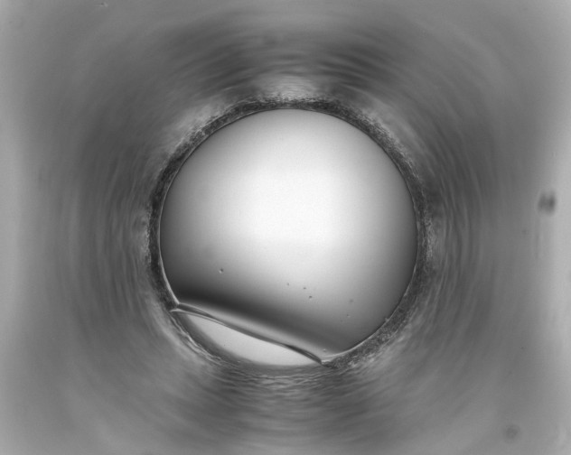 X0000093570447200710291043