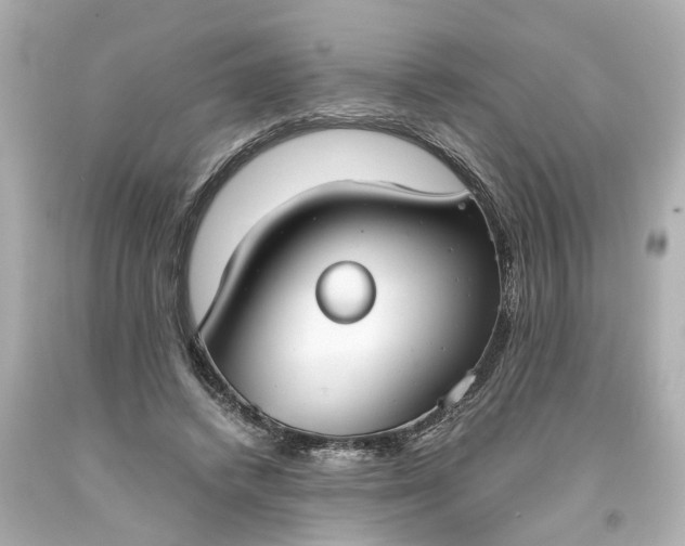 X0000093570448200710291043