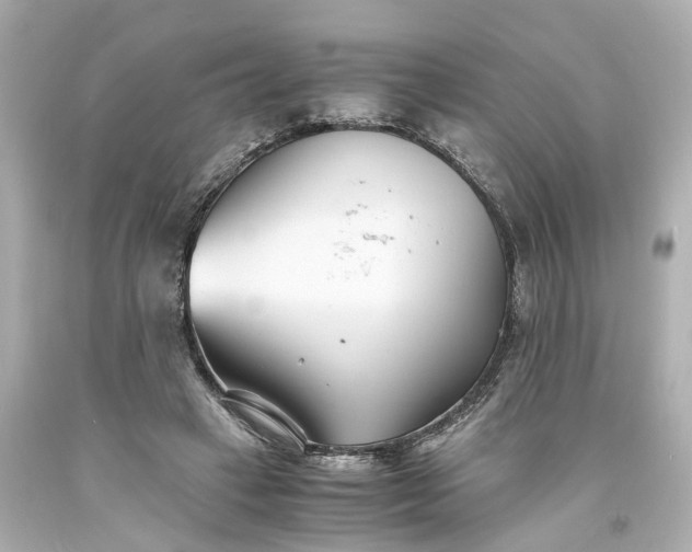 X0000093570449200710291043