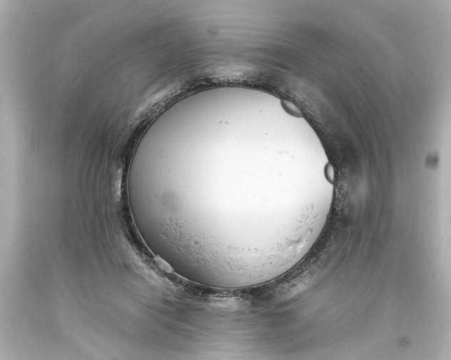 X0000093570454200710291043