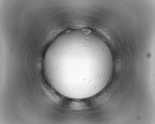 X0000093570455200710291043