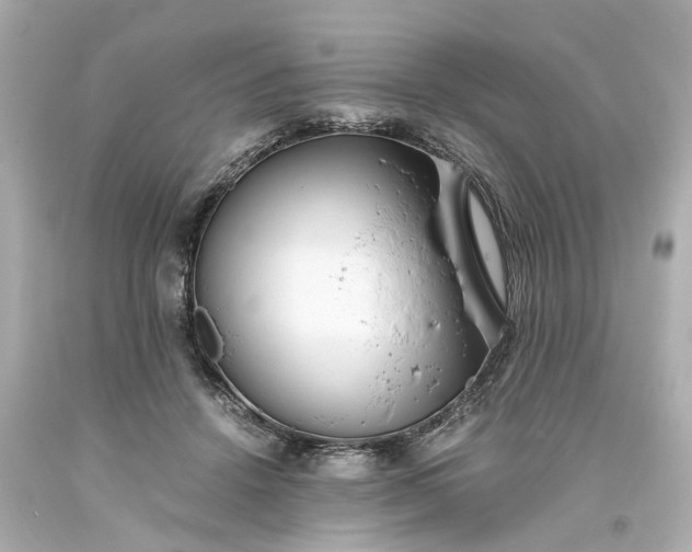 X0000093570456200710291043