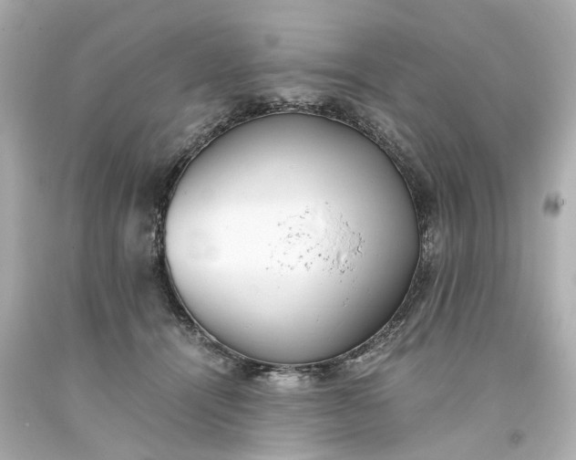 X0000093570464200710291043