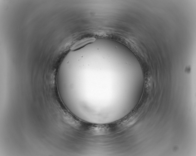 X0000093570466200710291044