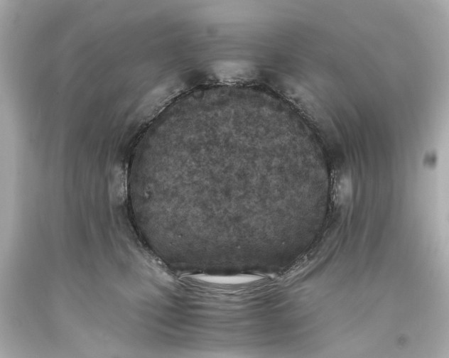 X0000093570471200710291044