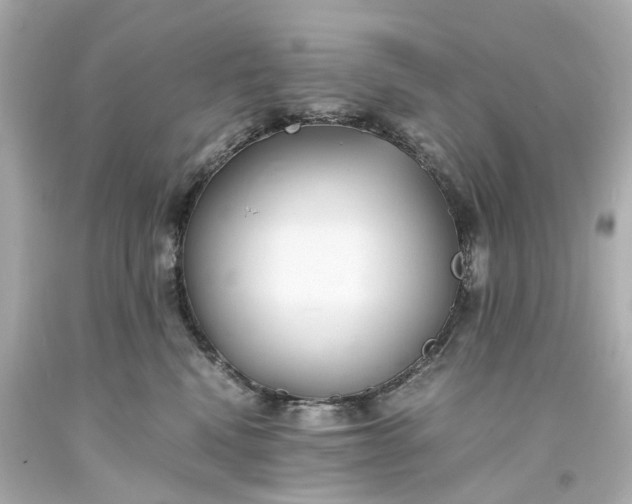 X0000093570472200710291044