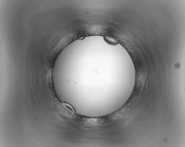 X0000093570473200710291044