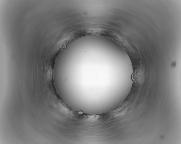 X0000093570474200710291044