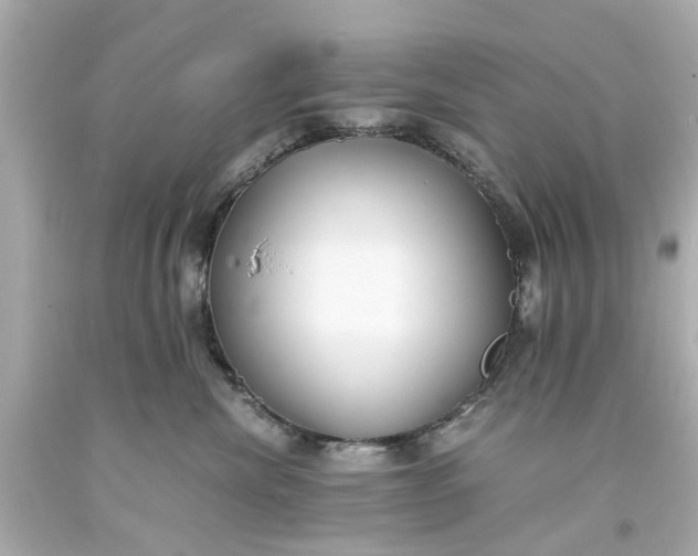 X0000093570476200710291044