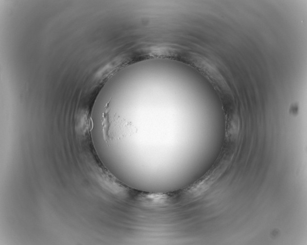 X0000093570478200710291044