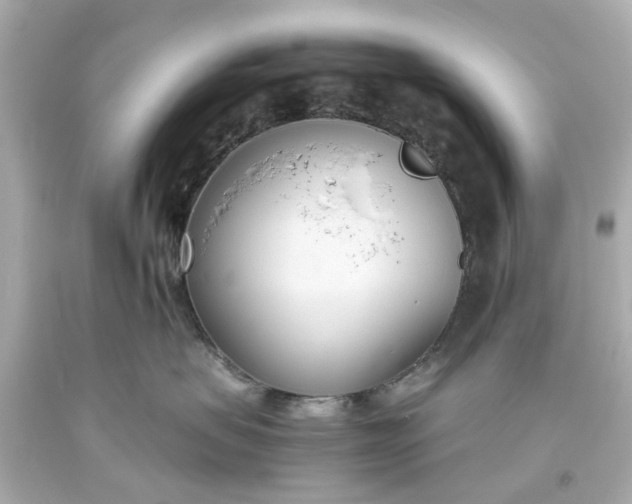 X0000093570479200710291044