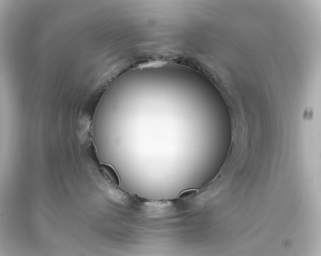X0000093570480200710291044
