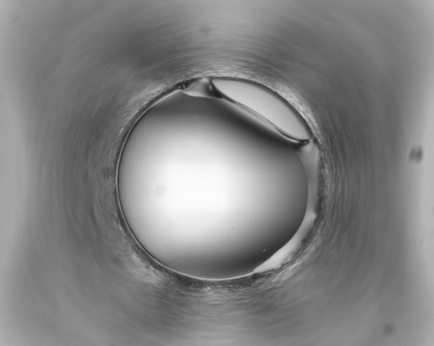 X0000093570481200710291043