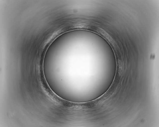X0000093570482200710291043