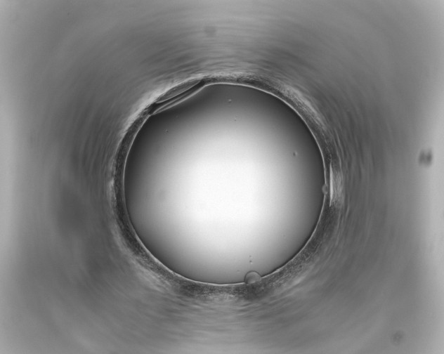 X0000093570483200710291043