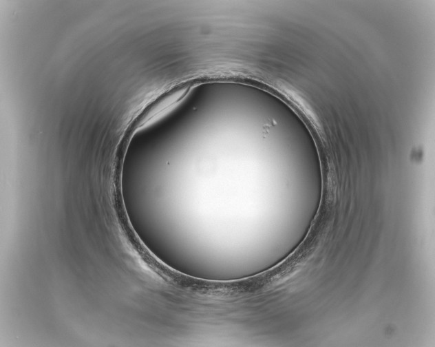 X0000093570485200710291043