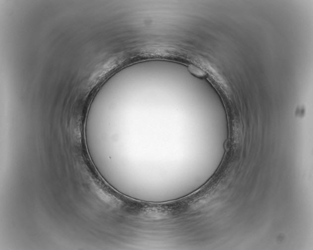 X0000093570489200710291043