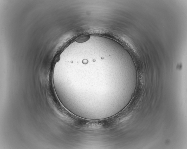 X0000093570491200710291043
