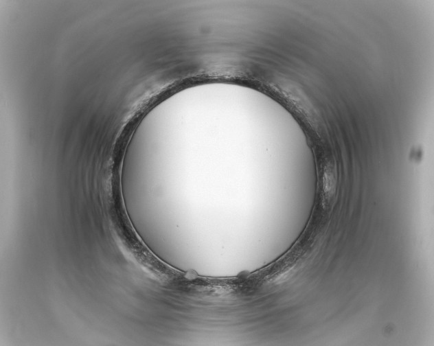 X0000093570492200710291043