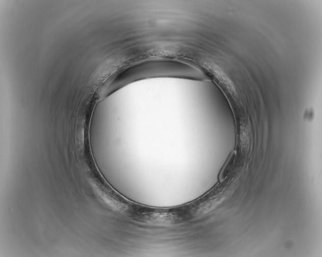 X0000093570493200710291043