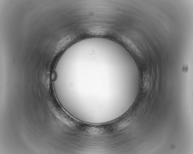 X0000093570494200710291043