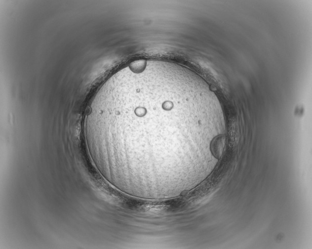 X0000093570495200710291043