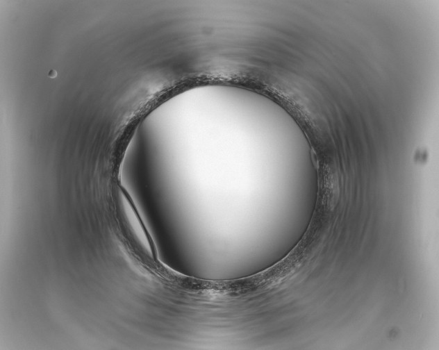 X0000093570496200710291043