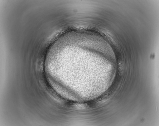X0000093570499200710291043