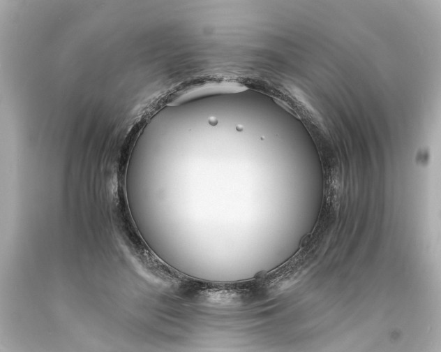 X0000093570500200710291043