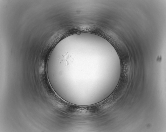 X0000093570502200710291043