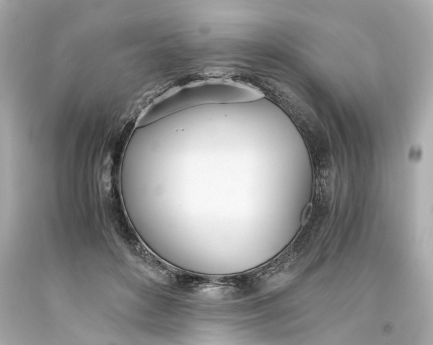 X0000093570504200710291043