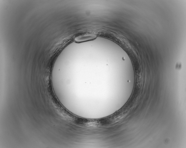 X0000093570505200710291043
