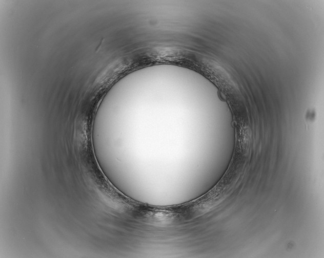 X0000093570506200710291043
