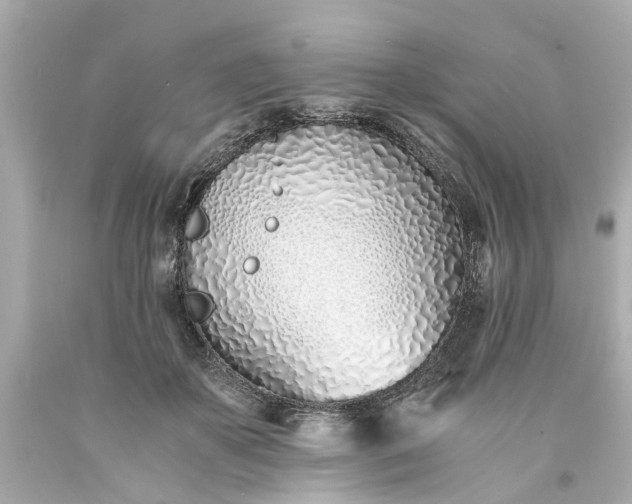 X0000093570507200710291043