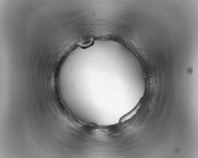 X0000093570508200710291043